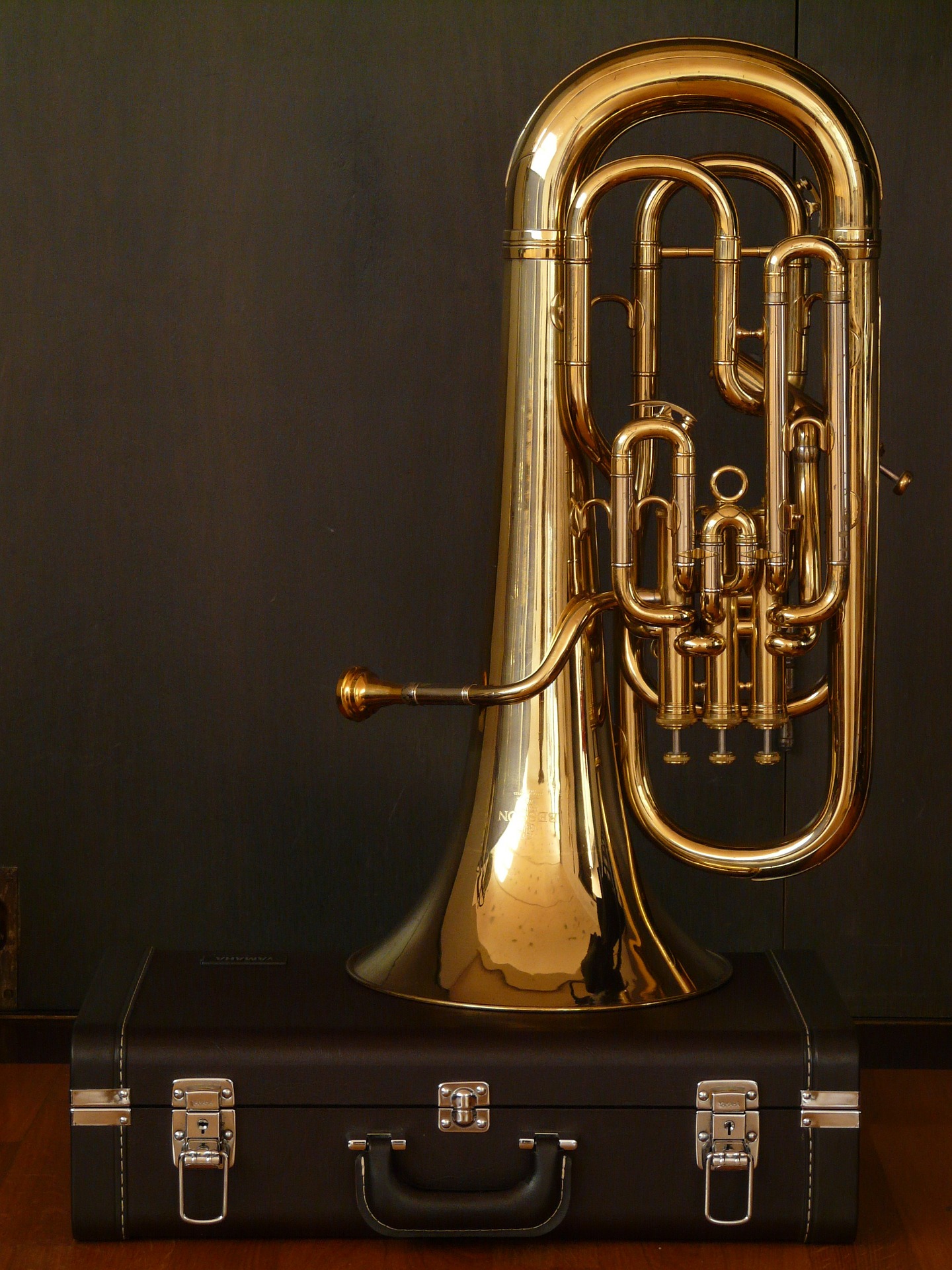 Euphonium - Informations and Resources - String Sound Studios